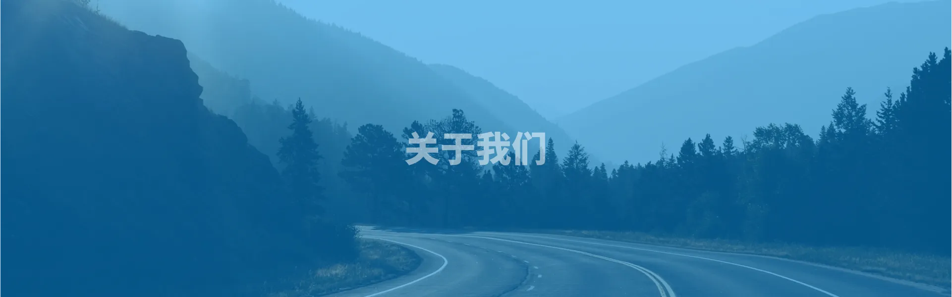 公司介绍
